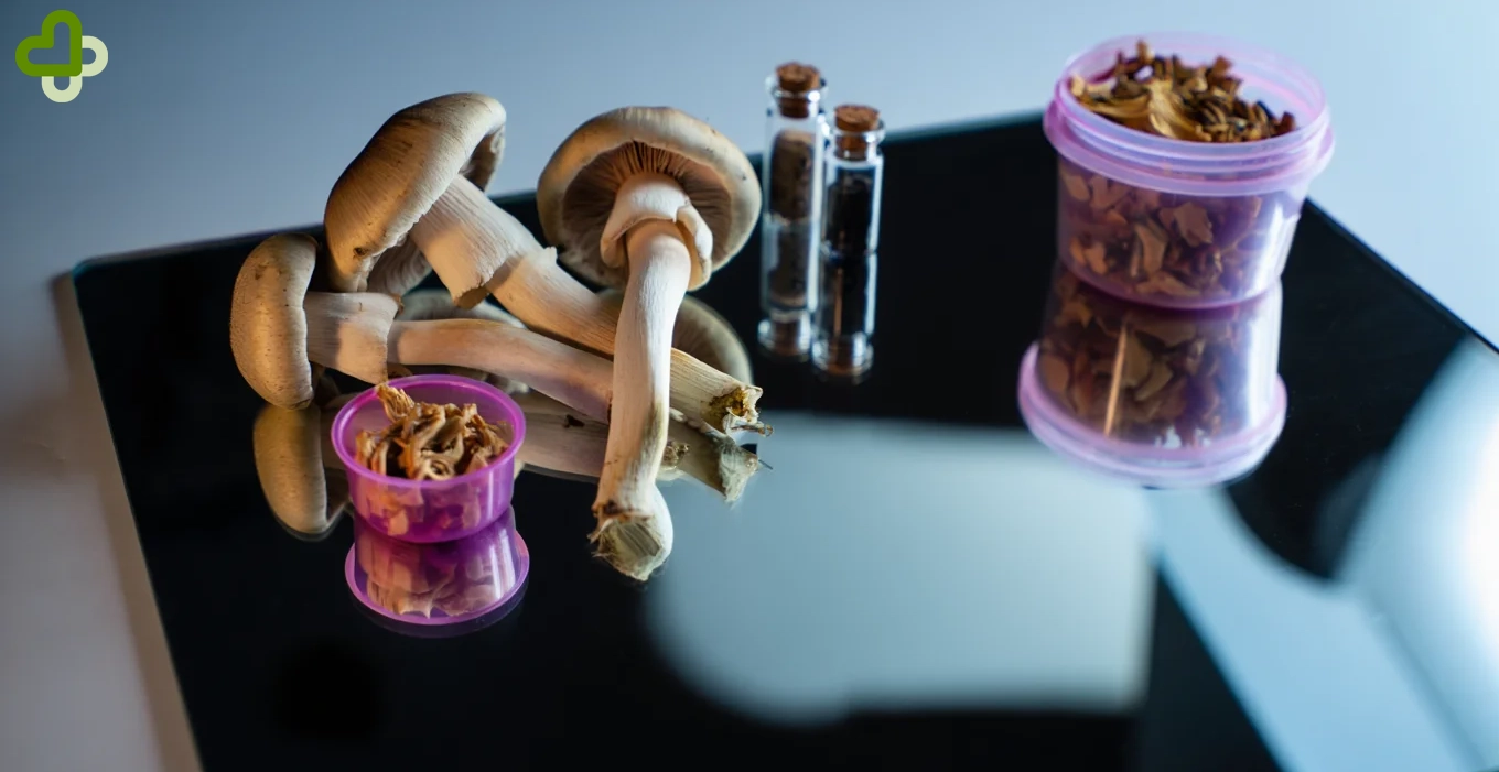 Псилоцибиновые грибы и контейнеры с сушёными грибами